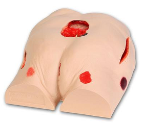 Seymour II  Wound Care Simulator